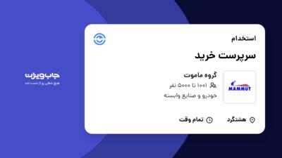 استخدام سرپرست خرید - آقا در گروه ماموت