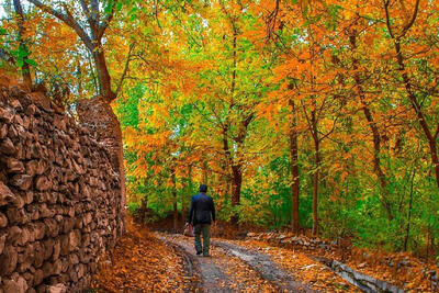 جاهای دیدنی خوانسار: لیست ۱۵ جاذبه تاریخی و طبیعی خوانسار+‌ عکس - چطور