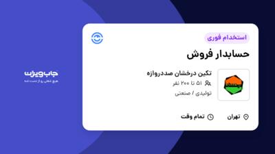 استخدام حسابدار فروش در تکین درخشان صددروازه