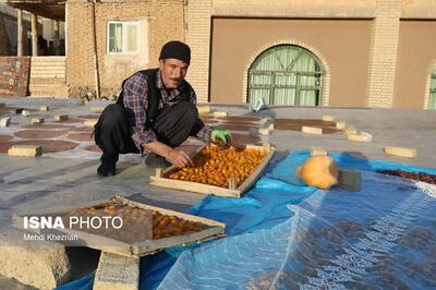 عکس: جشنواره خوشمزه آلو و لواشک در همدان