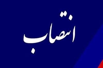 اعضای امور فرهنگی سازمان حفاظت محیط زیست منصوب شدند