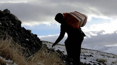 زنان کولبر در تقاطع رنج