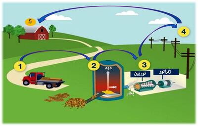 ساخت نیروگاه زیست توده در روستاهای خوزستان/تولید انرژی از چرخه پسماند گیاهی و حیوانی