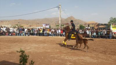 برگزاری همایش سوارکاری در شهرستان بن