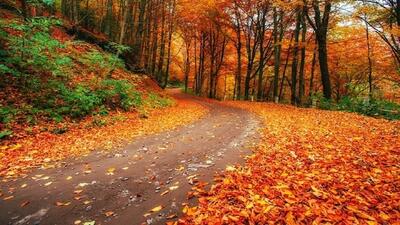 آسمانی ابری و وزش باد در لرستان