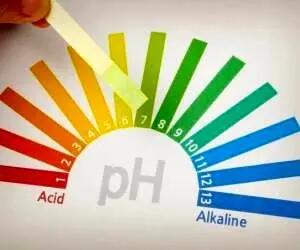 ph خون چیست و چطور کاهش می‌یاید + نسخه گیاهی