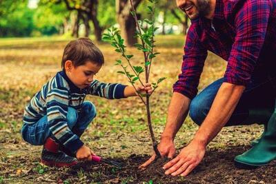 لزوم رفع مشکلات محیط زیستی بدون سیاست زدگی