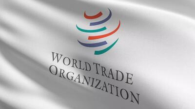 ایران به دنبال پیوستن به WTO است