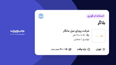 استخدام بلاگر - خانم در شرکت رویای مبل مانگار