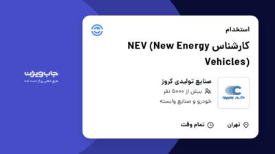 استخدام کارشناس NEV (New Energy Vehicles) در صنایع تولیدی کروز