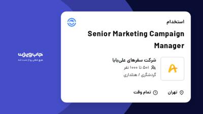 استخدام Senior Marketing Campaign Manager در شرکت سفرهای علی‌بابا