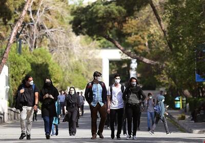 گروه قابل توجهی از دانشجویان دوست جنس مخالف دارند