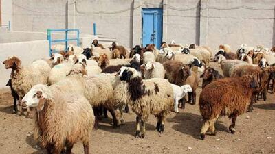 باند سرقت احشام در رودبار جنوب منهدم شد 