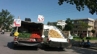 ساماندهی میوه‌فروشی‌های سیار در اردبیل آغاز شد