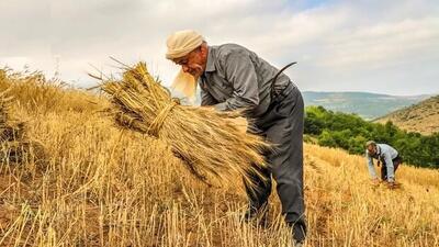 روز جهانی کشاورز چه روزی است ؟