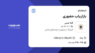 استخدام بازاریاب حضوری در کته مسی