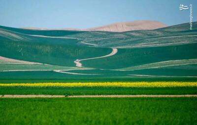 طبیعت زیبای ترکمن صحرا در گلستان + عکس