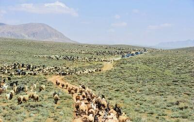 بهبود معیشت دامداران با تهیه طرح‌های مرتع‌داری