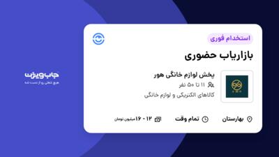 استخدام بازاریاب حضوری در پخش لوازم خانگی هور