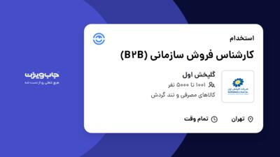 استخدام کارشناس فروش سازمانی (B2B) - آقا در گلپخش اول