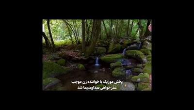 صدا و سیما به خاطر پخش صدای خواننده زن عذرخواهی کرد: تحلیل اجتماعی و فرهنگی این اتفاق جنجالی