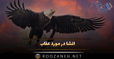 انشا در مورد عقاب؛ 7 انشا جدید توصیفی و ادبی درباره عقاب