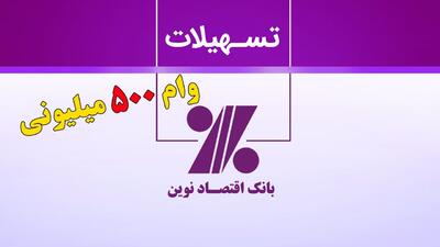 شرایط دریافت وام ۵۰۰ میلیونی بانک اقتصاد نوین+ مبلغ اقساط