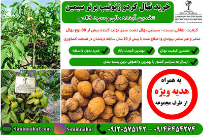 خرید نهال گردو ژنوتیپ سیمین، تضمین آینده مالی