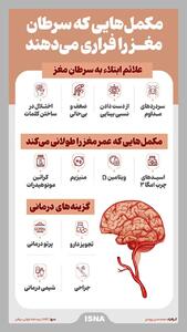 مکمل‌های غذایی؛ سلاحی موثر در مبارزه با سرطان مغز