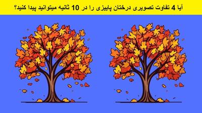 آیا 4 تفاوت تصویری درختان پاییزی را در 10 ثانیه میتوانید پیدا کنید؟