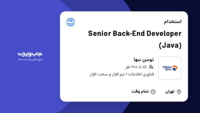 استخدام Senior Back-End Developer (Java) در توسن سها