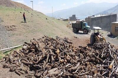 ۱۵ تن چوب قاچاق در شهرستان نهاوند کشف شد