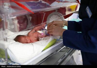 دهمین فرزند مادر لردگانی دهه شصتی به دنیا آمد - تسنیم