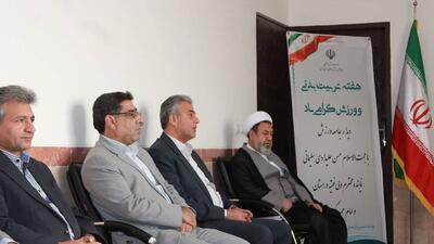 سالانه بیش از ۵۰۰۰ برنامه مناسبتی در کرمان برگزار می‌شود
