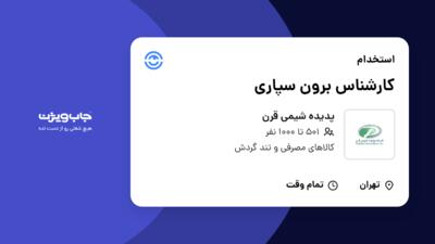 استخدام کارشناس برون سپاری در پدیده شیمی قرن