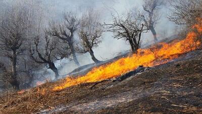 ۱۰ هکتار از مراتع روستای گاومیشان بوکان طعمه حریق شد