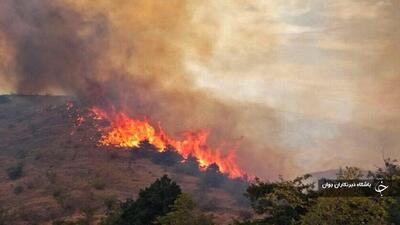 ۱۰ هکتار از مراتع روستای گاومیشان بوکان طعمه حریق شد