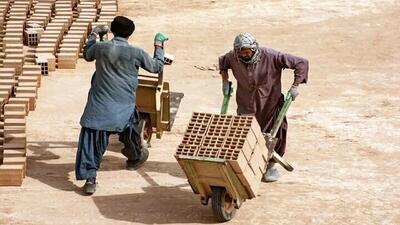 شاغل خارجی غیر مجاز در سیستان و بلوچستان شناسایی شد