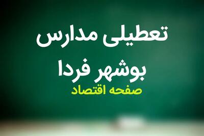 مدارس بوشهر فردا ۱ آبان ماه ۱۴۰۳ تعطیل است؟ | تعطیلی مدارس بوشهر سه شنبه ۱ آبان ۱۴۰۳