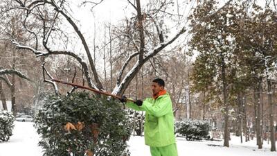 سناریوی برف‌روبی در پایتخت تدوین می‌شود