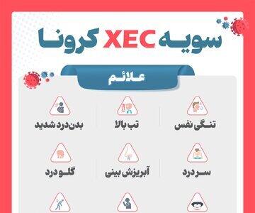 اینفوگرافیک/ سویه «XEC» کرونا