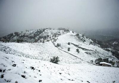 بارش شدید برف در روستای جنقشلاقی  اردبیل؛‌ هم اکنون | تصاویر