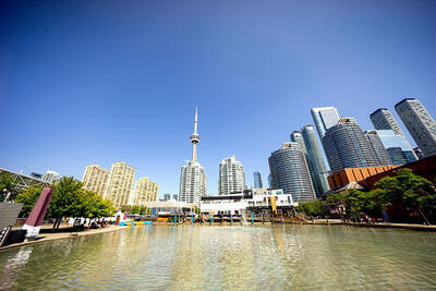 بلیط تهران تورنتو و قدم زدن در منطقه تفریحی Harbourfront