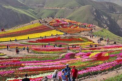 راهنمای بازدید از روستای کندر کرج و مسیر دسترسی