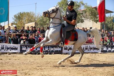 همایش سوارکاری و شو دست گردان اسب