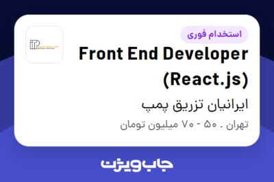 استخدام Front End Developer (React.js) در ایرانیان تزریق پمپ