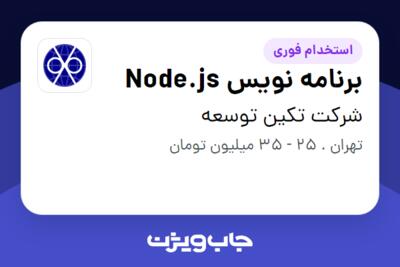 استخدام برنامه نویس Node.js در شرکت تکین توسعه