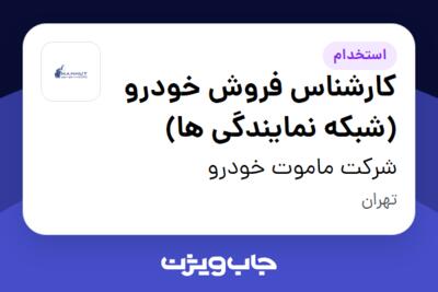 استخدام کارشناس فروش خودرو (شبکه نمایندگی ها) در شرکت ماموت خودرو