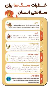 اینفوتابناک/ خطرات سگ ها برای سلامتی انسان