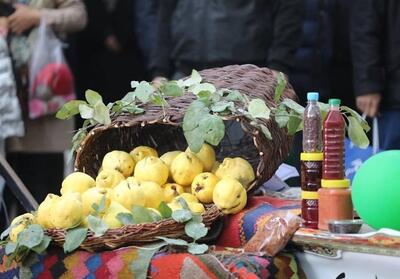 اردبیل| جشنواره هیوا (بِه) در باغ شهر ایران برگزار شد- فیلم فیلم استان تسنیم | Tasnim